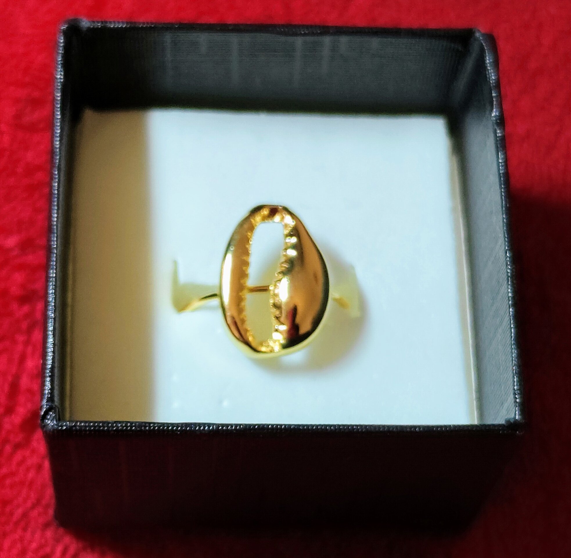 ANILLO CONCHA - 6
