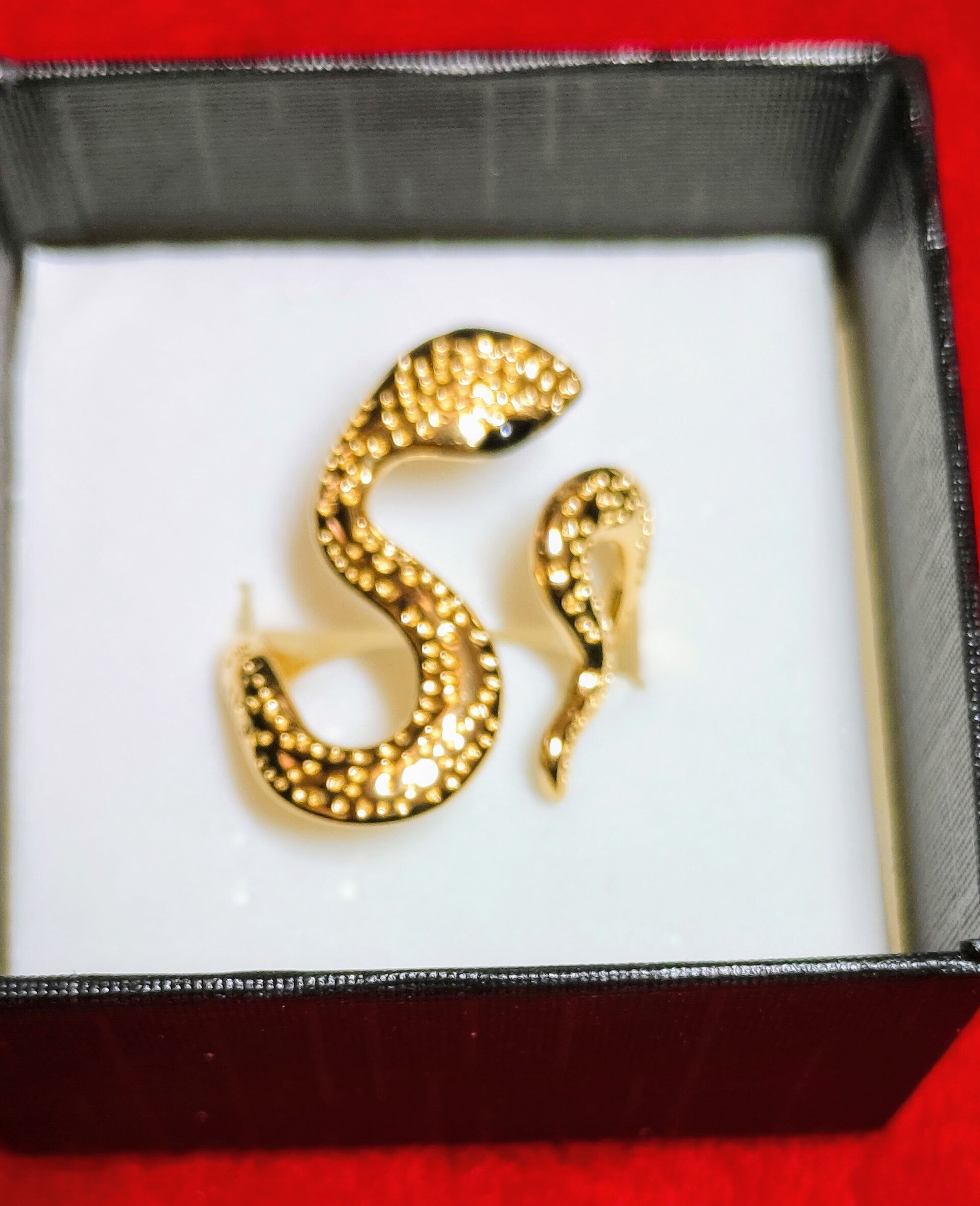 ANILLO SERPIENTE - 2