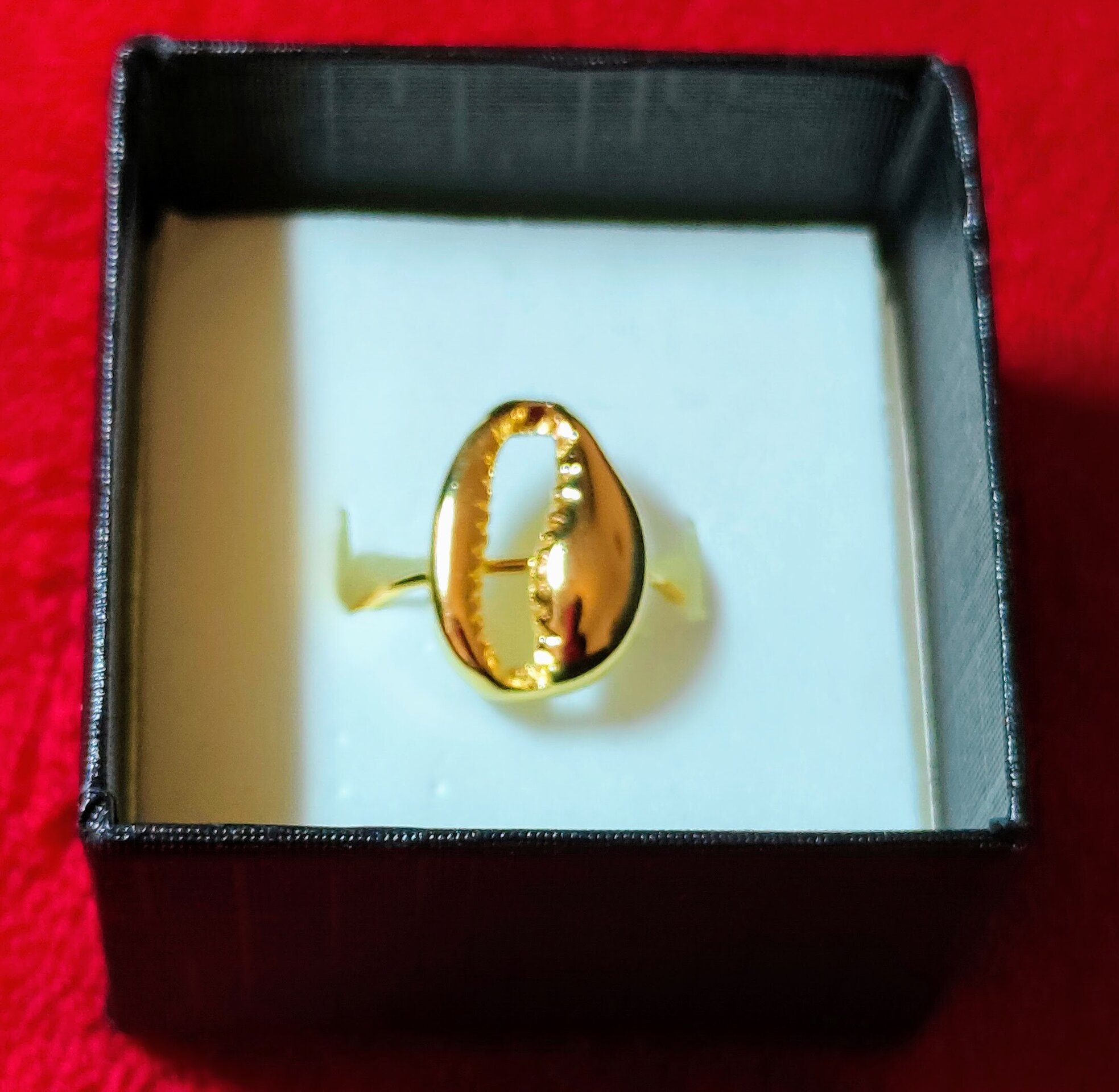 ANILLO CONCHA - 7