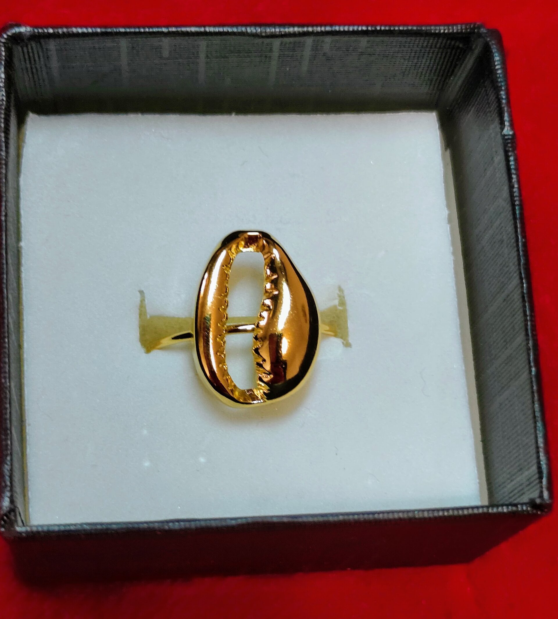 ANILLO CONCHA - 4