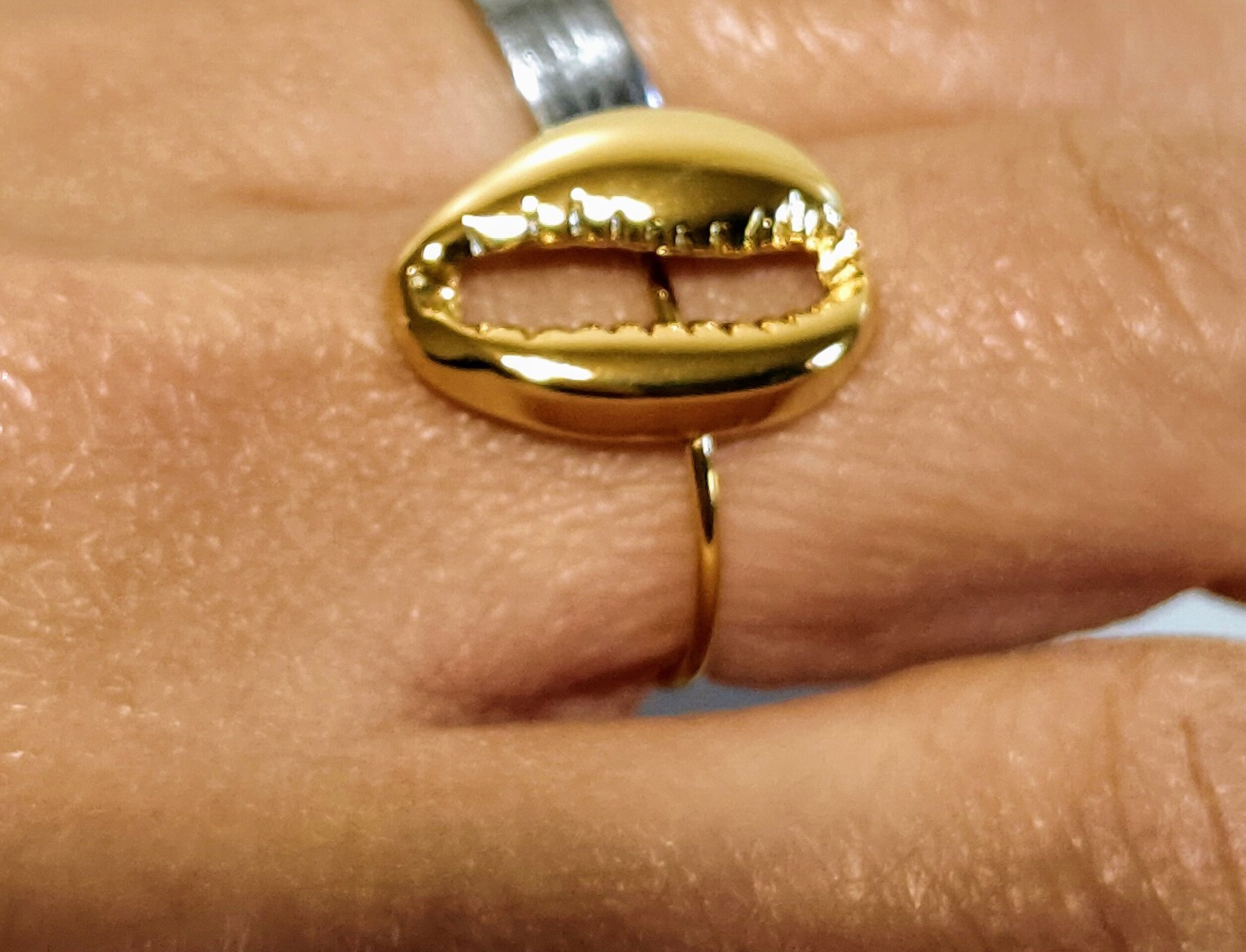 ANILLO CONCHA - 5