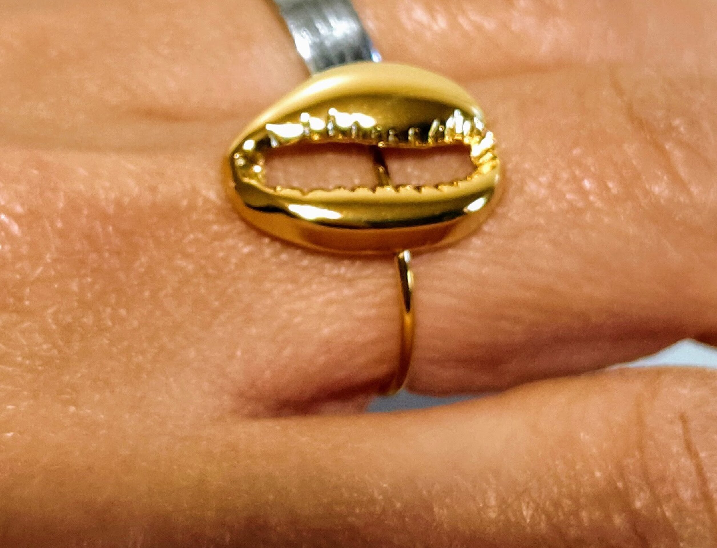 ANILLO CONCHA - 3